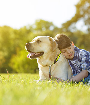 Happy dog and boy in clean grass because of dog waster removal services provided by Kurt's Doggy Dooty Dog waster removal services